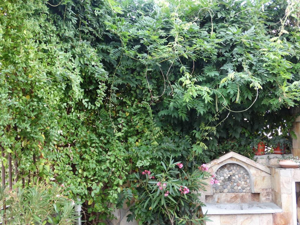Guest House Ivel Sapareva Banya Dış mekan fotoğraf