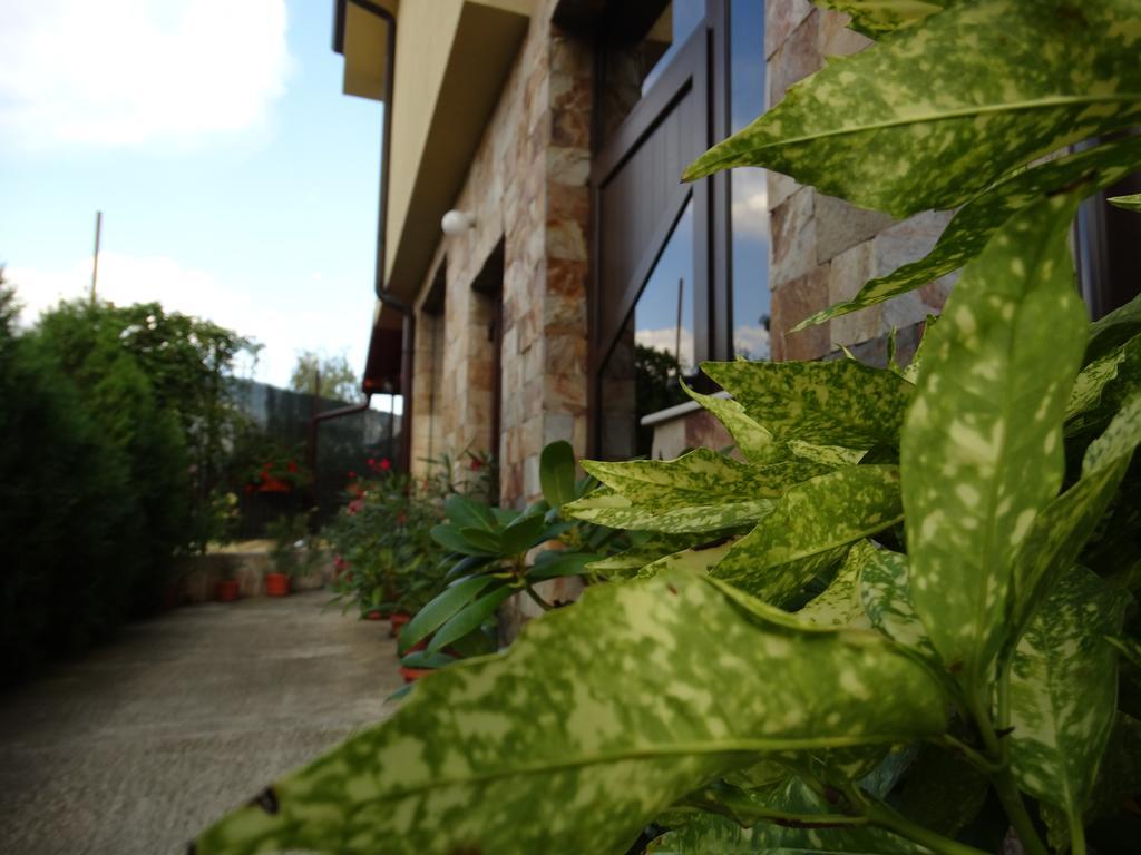 Guest House Ivel Sapareva Banya Dış mekan fotoğraf