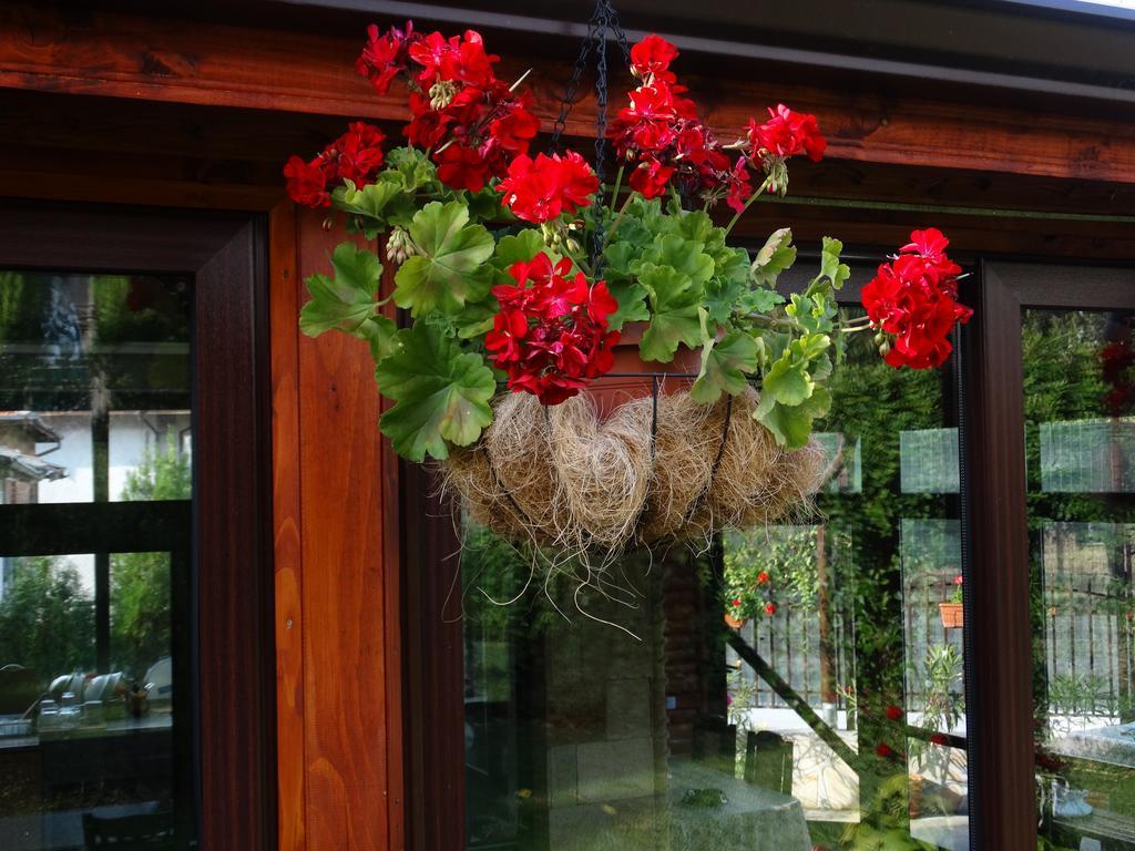 Guest House Ivel Sapareva Banya Dış mekan fotoğraf